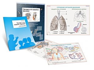 Комплект кодотранспарантов "Человек и его здоровье. Дыхание" - fgospostavki.ru - Апрелевка