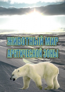 DVD "Животный мир Арктической зоны" - fgospostavki.ru - Апрелевка