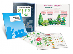 Комплект кодотранспарантов "Культурные растения" - fgospostavki.ru - Апрелевка