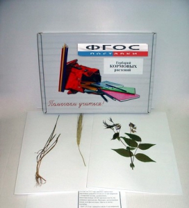 Гербарий "Кормовые растения" (20 видов) - fgospostavki.ru - Апрелевка