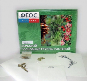 Гербарий "Основные группы растений" (52 листа) - fgospostavki.ru - Апрелевка