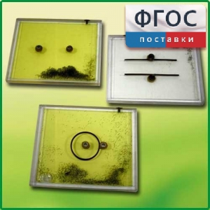 Набор для демонстрации электрических полей - fgospostavki.ru - Апрелевка