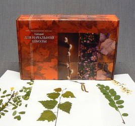 Гербарий для Начальной школы (28 видов) - fgospostavki.ru - Апрелевка