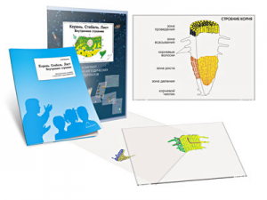 Комплект кодотранспарантов "Корень. Стебель. Лист (Внутреннее строение)" - fgospostavki.ru - Апрелевка