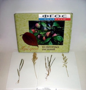 Гербарий "Культурные растения" (28 видов) - fgospostavki.ru - Апрелевка