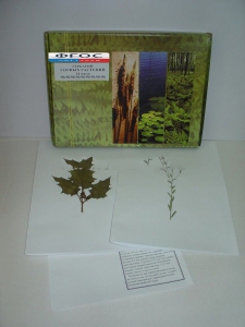 Гербарий "Сорные растения" (24 вида) - fgospostavki.ru - Апрелевка