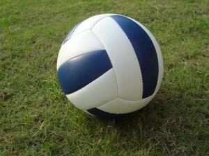 Мяч волейбольный звенящий - fgospostavki.ru - Апрелевка