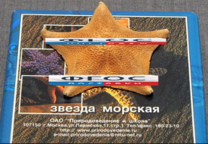 Сухой препарат "Звезда морская" - fgospostavki.ru - Апрелевка