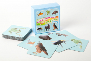 Набор магнитных карточек "Устный счет" (фон голубой) - fgospostavki.ru - Апрелевка