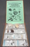 Коллекция "Многообразие раковин моллюсков" - fgospostavki.ru - Апрелевка