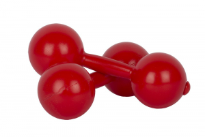 Гантели пластмассовые (0,8 килограмм) - fgospostavki.ru - Апрелевка