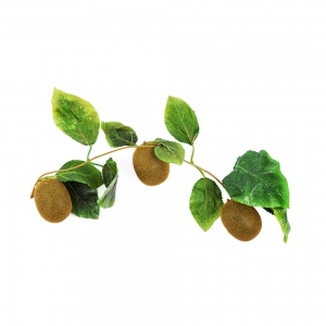 Ветка муляжей "Киви" - fgospostavki.ru - Апрелевка