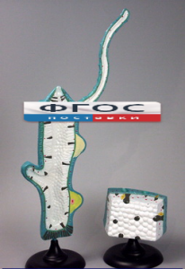 Модель "Гидра" - fgospostavki.ru - Апрелевка