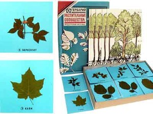 Гербарий "Растительные сообщества" - fgospostavki.ru - Апрелевка