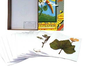 Гербарий "Сельскохозяйственные растения России" - fgospostavki.ru - Апрелевка