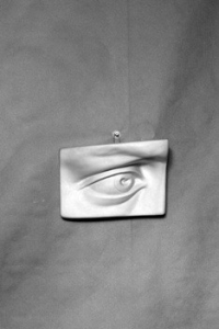 Гипсовая модель "Глаз" - fgospostavki.ru - Апрелевка