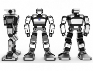 Образовательная платформа для обучения программирования гуманоидный робот Yanshee - fgospostavki.ru - Апрелевка