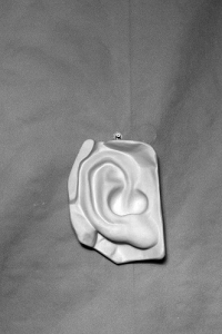 Гипсовая модель "Ухо" - fgospostavki.ru - Апрелевка