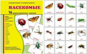 Демонстрационные карточки "Насекомые" - fgospostavki.ru - Апрелевка