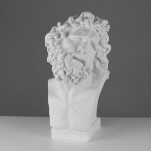 Бюст Лаокоона (гипс) - fgospostavki.ru - Апрелевка