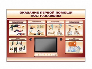 Многофункциональный интерактивный стенд-тренажер "Оказание первой помощи пострадавшим" для учащихся общеобразовательных учреждений - fgospostavki.ru - Апрелевка