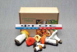 Набор муляжей грибов - fgospostavki.ru - Апрелевка