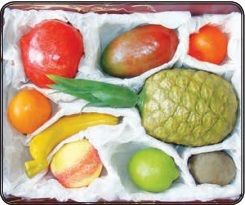 Набор муляжей тропических фруктов - fgospostavki.ru - Апрелевка