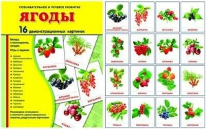 Демонстрационные карточки "Ягоды" - fgospostavki.ru - Апрелевка