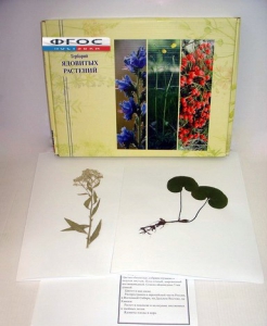Гербарий "Ядовитые растения" (20 видов) - fgospostavki.ru - Апрелевка