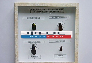 Коллекция энтомологическая "Приспособительные изменения в конечностях насекомых" - fgospostavki.ru - Апрелевка