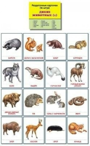 Раздаточные карточки "Дикие животные (1)" - fgospostavki.ru - Апрелевка