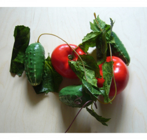 Ветка муляжей "Ассорти" (овощи) - fgospostavki.ru - Апрелевка