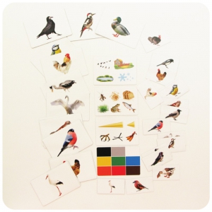 Набор магнитных карточек "Загадки-отрицания". Птицы - fgospostavki.ru - Апрелевка