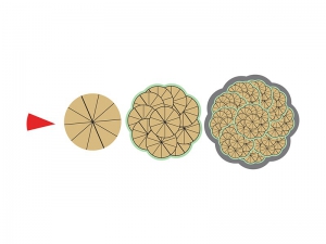 Магнитная математика Наталии Пятибратовой (Числовые фигуры) - fgospostavki.ru - Апрелевка