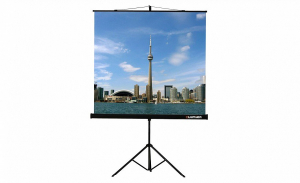 Проекционный экран на штативе Lumien Eco View (LEV-100105) 160x160 см - fgospostavki.ru - Апрелевка