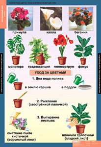 Комплект таблиц. Окружающий мир 1 класс. - fgospostavki.ru - Апрелевка