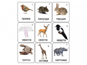 Набор магнитных карточек по музыке "Животные" (9 штук) - fgospostavki.ru - Апрелевка
