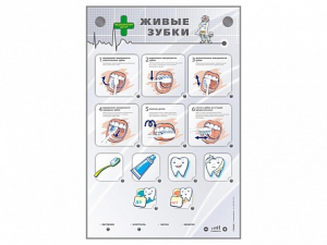 Интерактивный стенд "Живые зубки" - fgospostavki.ru - Апрелевка