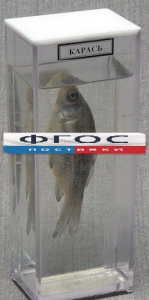 Влажный препарат "Карась" - fgospostavki.ru - Апрелевка