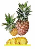 Комплект карточек "Запоминай, играй, считай" - Фрукты - fgospostavki.ru - Апрелевка