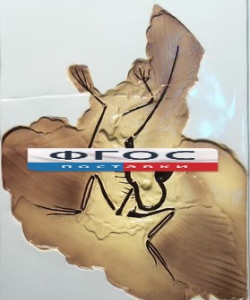 Модель барельефная "Археоптерикс" - fgospostavki.ru - Апрелевка