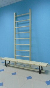 Стенка гимнастическая шведская премиум (1000х3200 мм) - fgospostavki.ru - Апрелевка