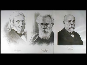 Портреты биологов (26 штук, формат А3) - fgospostavki.ru - Апрелевка