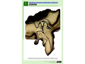 Рельефная таблица "Археоптерикс" (формат А1, матовое ламинирование) - fgospostavki.ru - Апрелевка