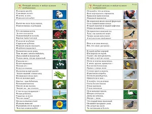 Комплект карточек (10) "Обучающий калейдоскоп. Природа" - fgospostavki.ru - Апрелевка
