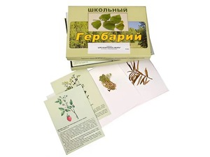 Гербарий "Для начальной школы" (30 видов, с иллюстрациями) - fgospostavki.ru - Апрелевка