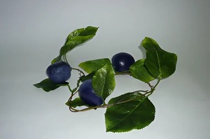 Ветка муляжей "Слива" - fgospostavki.ru - Апрелевка