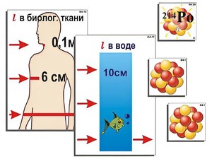Модель-аппликация "Явление радиоактивности" (ламинированная) - fgospostavki.ru - Апрелевка