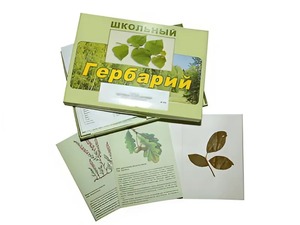 Гербарий "Дикорастущие растения" (30 видов, с иллюстрациями) - fgospostavki.ru - Апрелевка