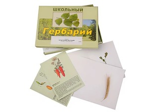 Гербарий "Культурные растения" (30 видов, с иллюстрациями) - fgospostavki.ru - Апрелевка